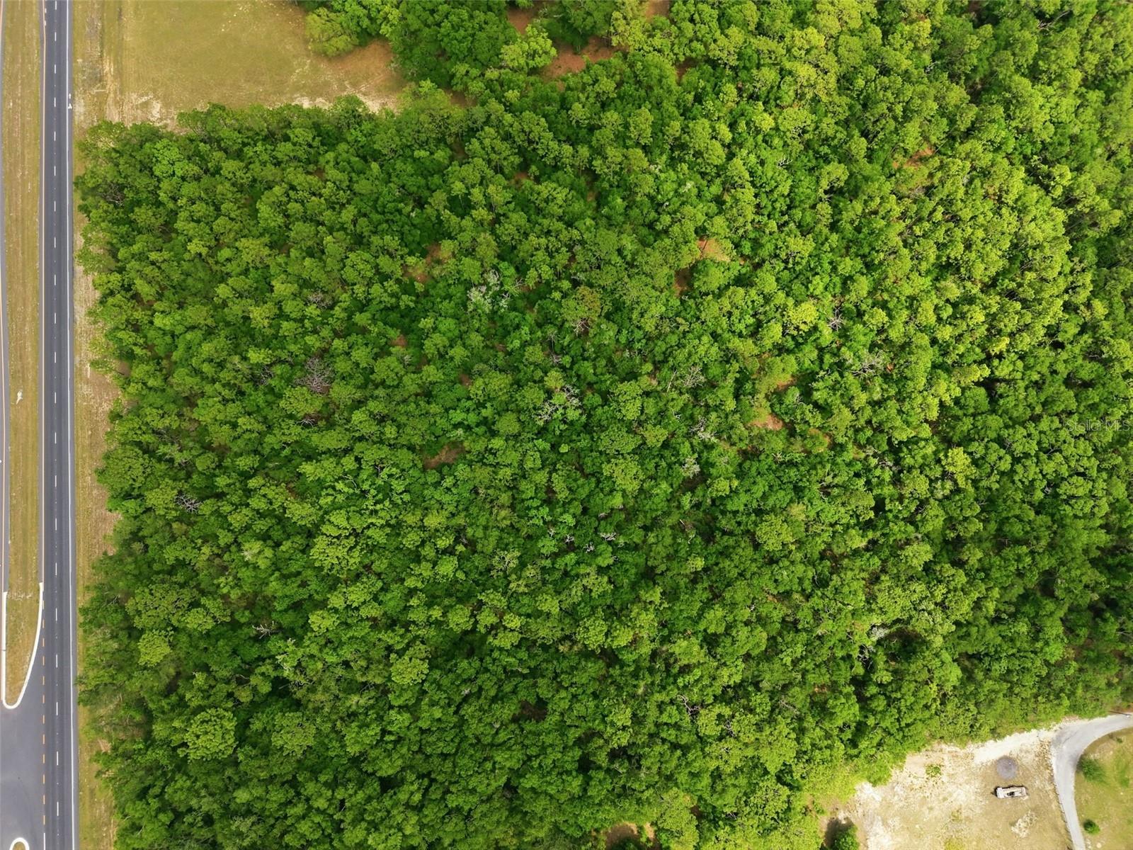 CORTEZ BLVD, BROOKSVILLE, FL, 34602