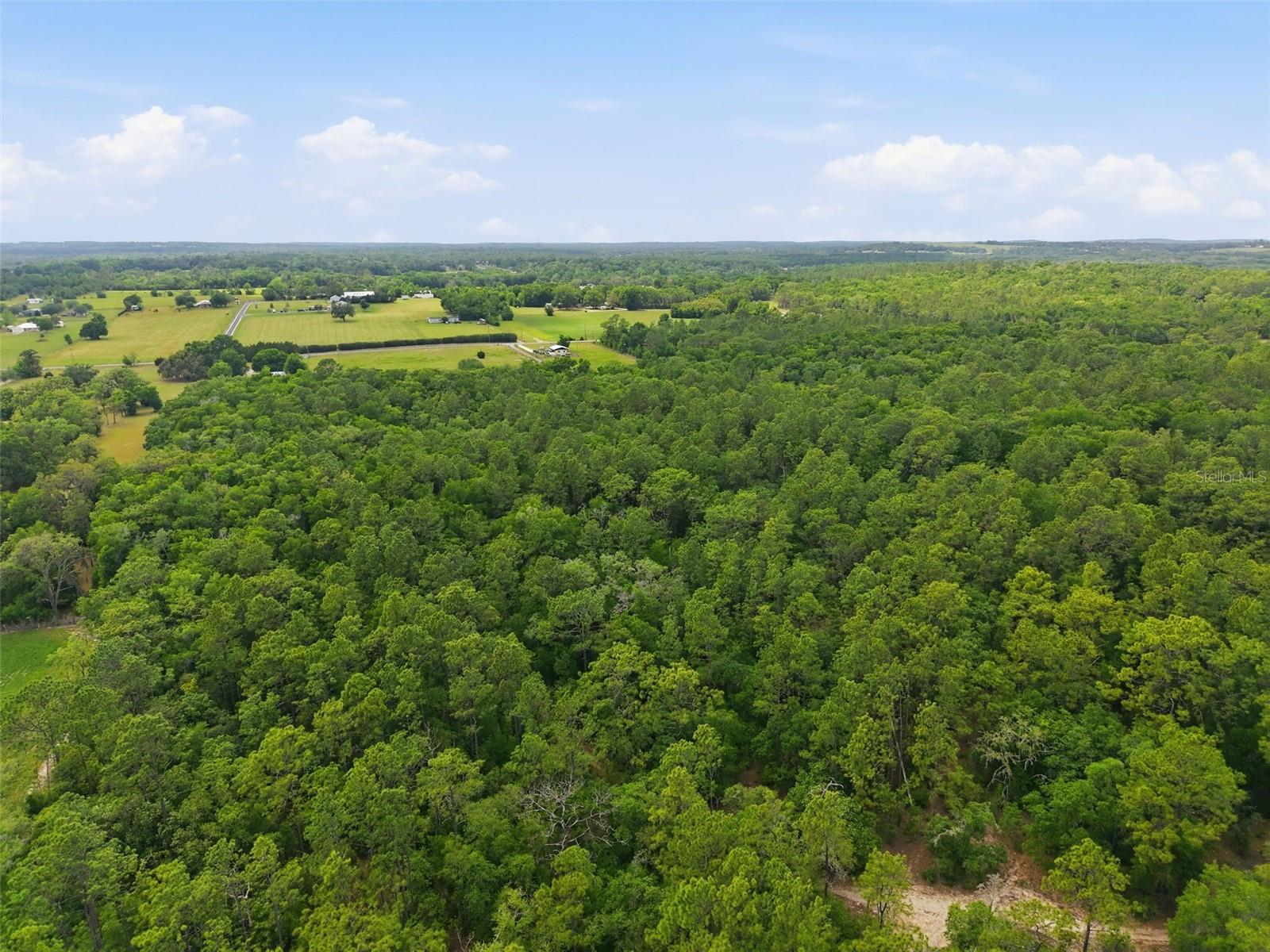 CORTEZ BLVD, BROOKSVILLE, FL, 34602