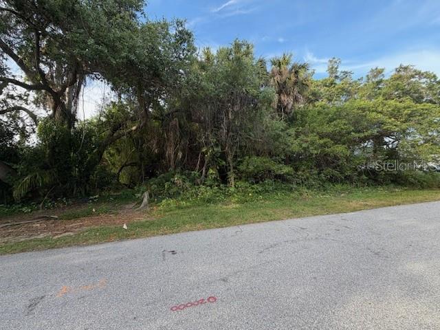 21447 DRANSON AVE, PORT CHARLOTTE, FL, 33952