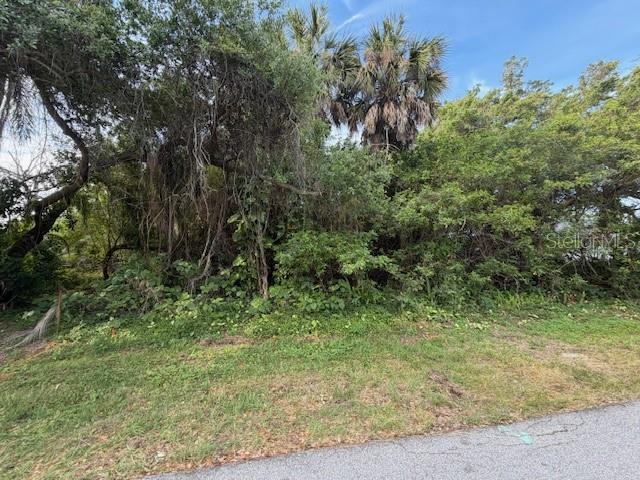 21447 DRANSON AVE, PORT CHARLOTTE, FL, 33952