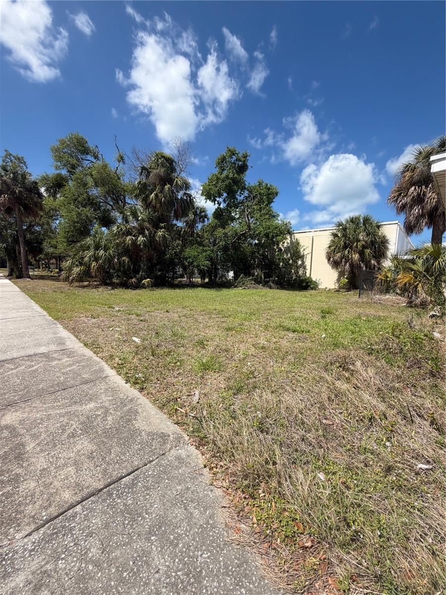 PALM BLUFF ST, CLEARWATER, FL, 33755