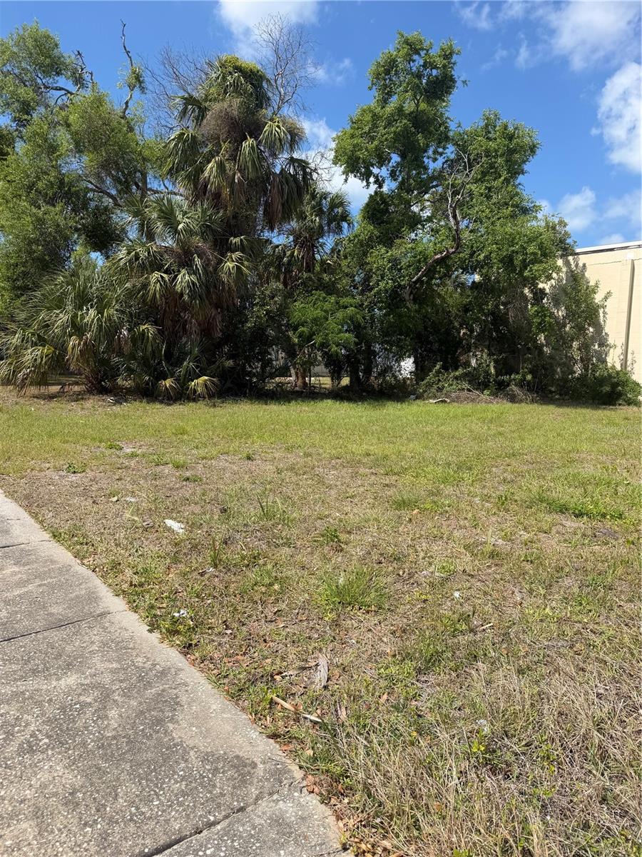 PALM BLUFF ST, CLEARWATER, FL, 33755
