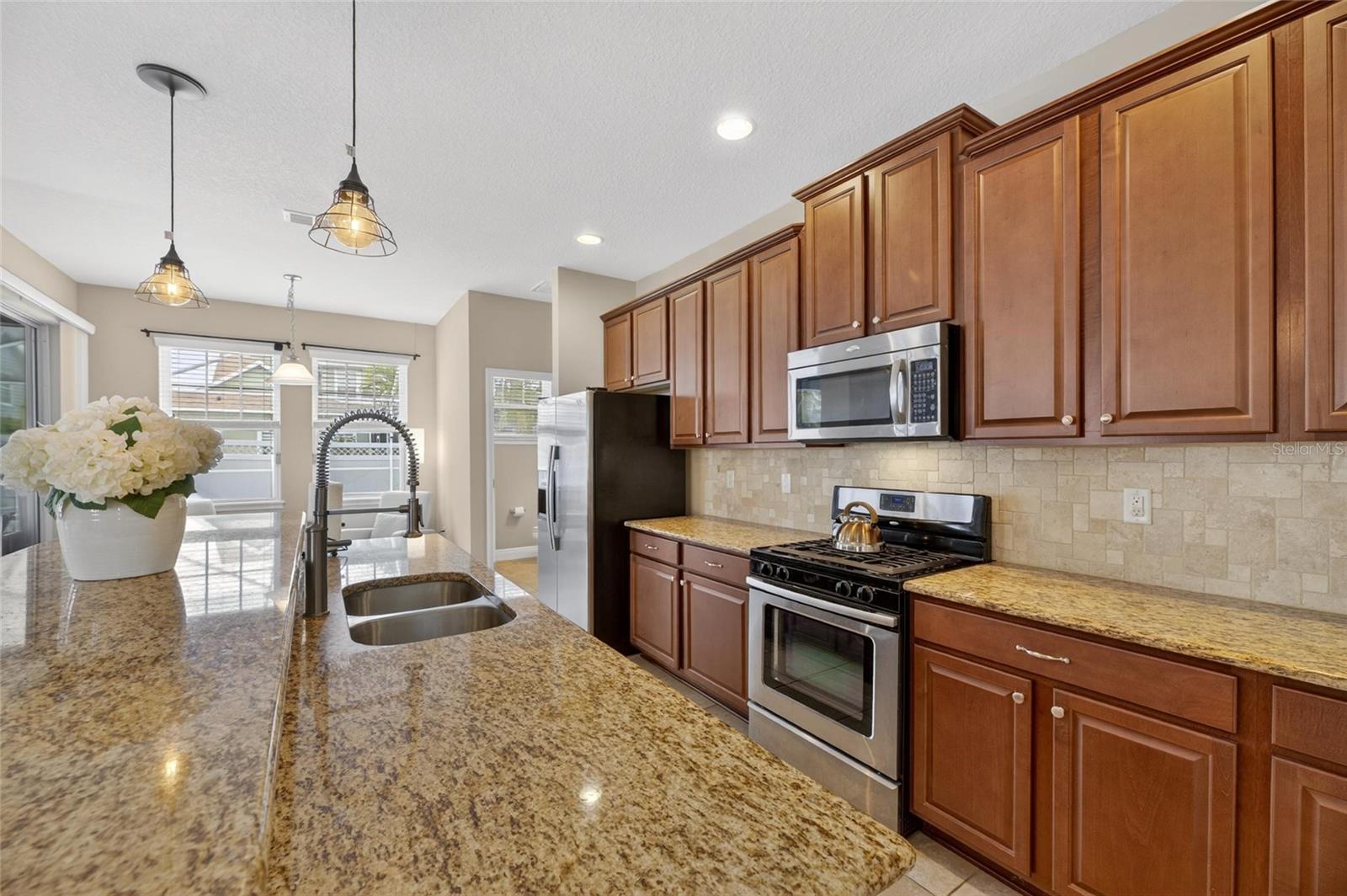 513 MANNS HARBOR DR, APOLLO BEACH, FL, 33572