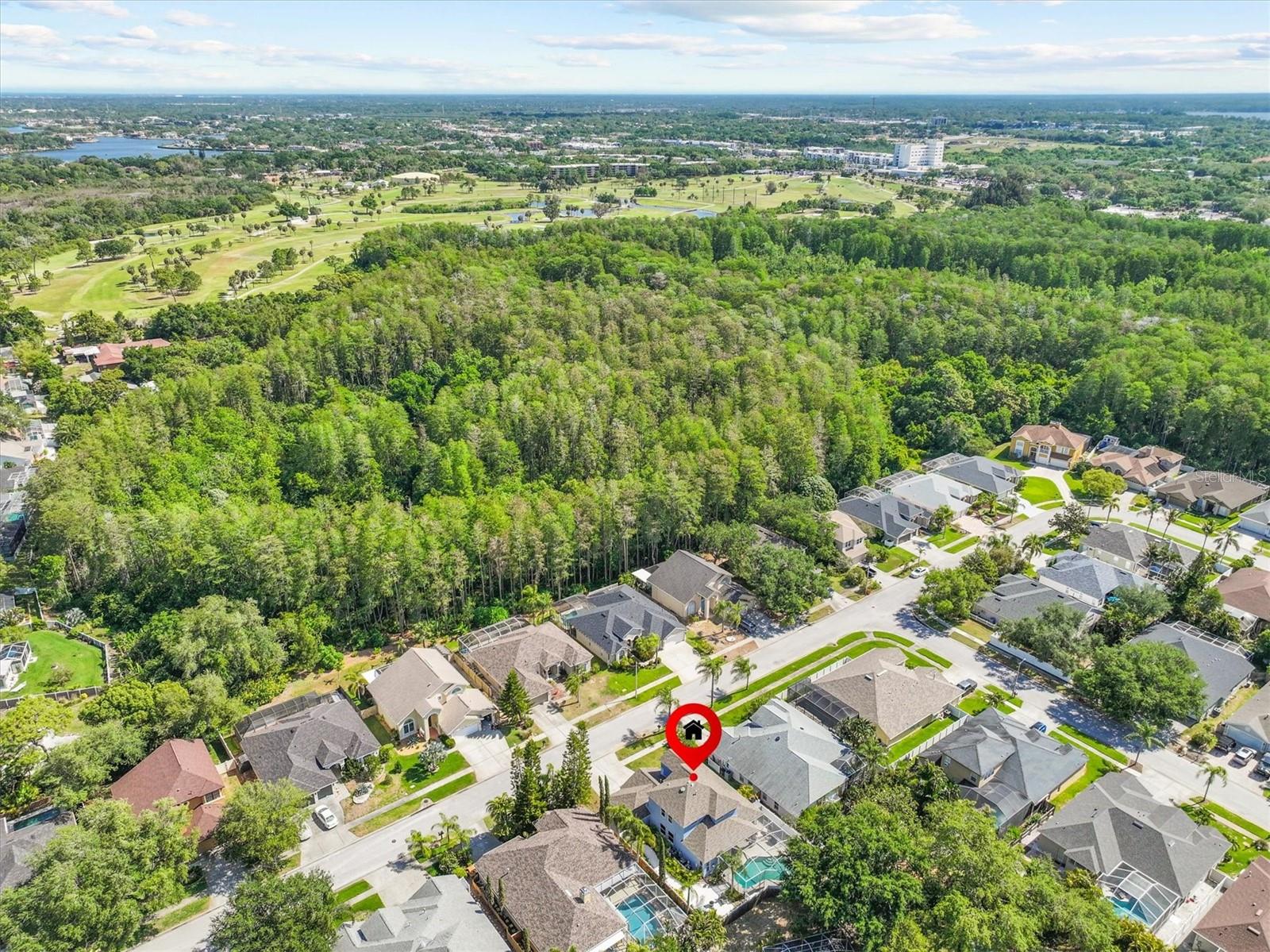 460 DENISE ST, TARPON SPRINGS, FL, 34689