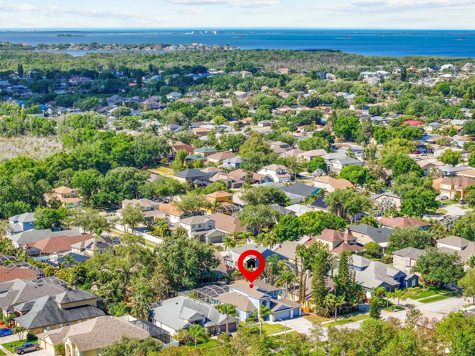 460 DENISE ST, TARPON SPRINGS, FL, 34689