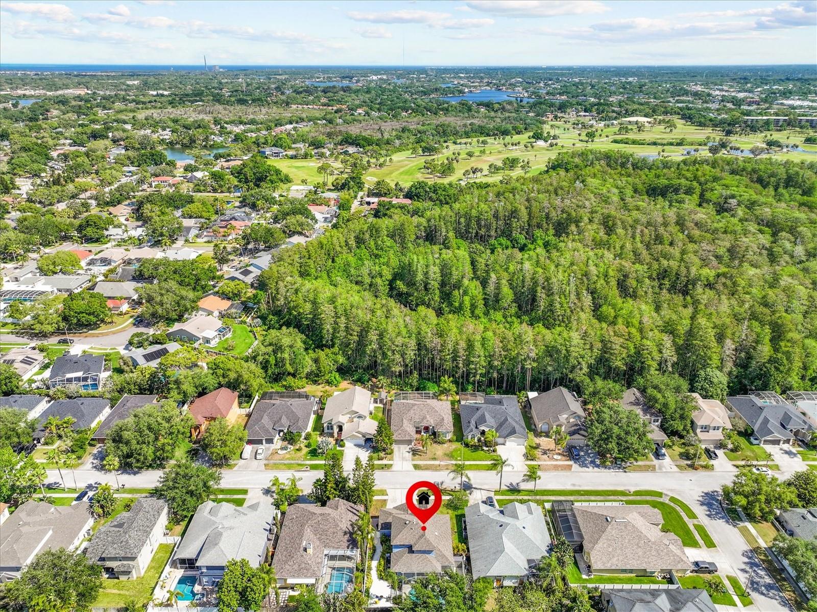 460 DENISE ST, TARPON SPRINGS, FL, 34689