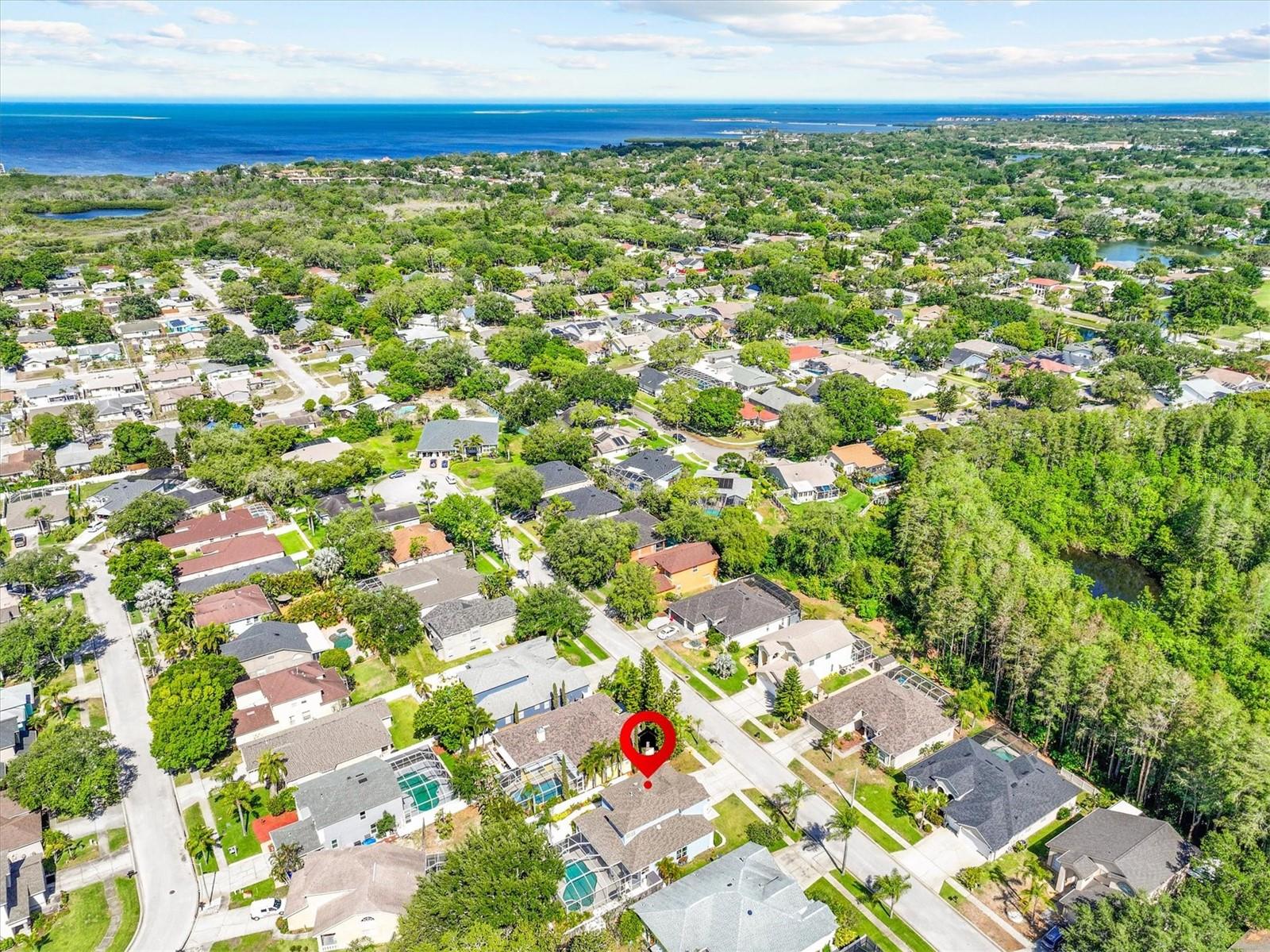 460 DENISE ST, TARPON SPRINGS, FL, 34689