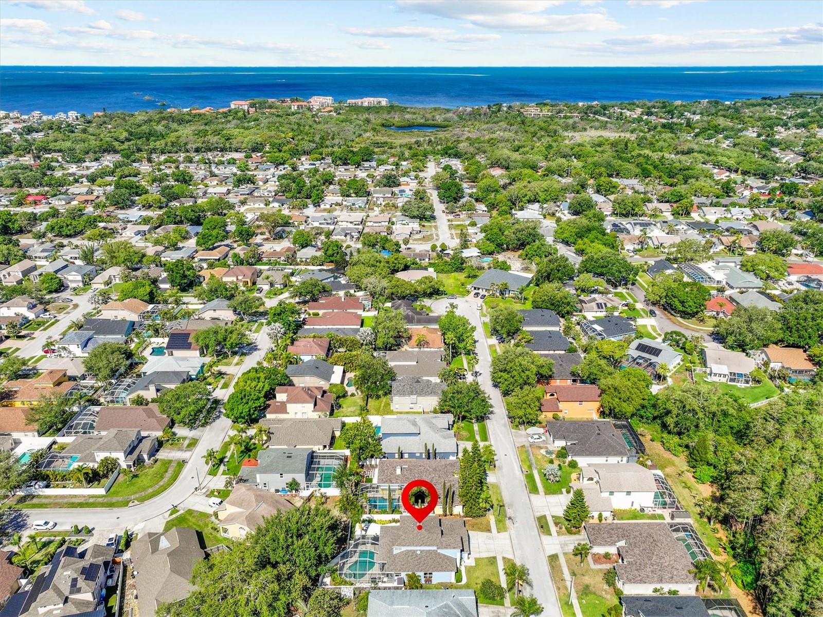 460 DENISE ST, TARPON SPRINGS, FL, 34689