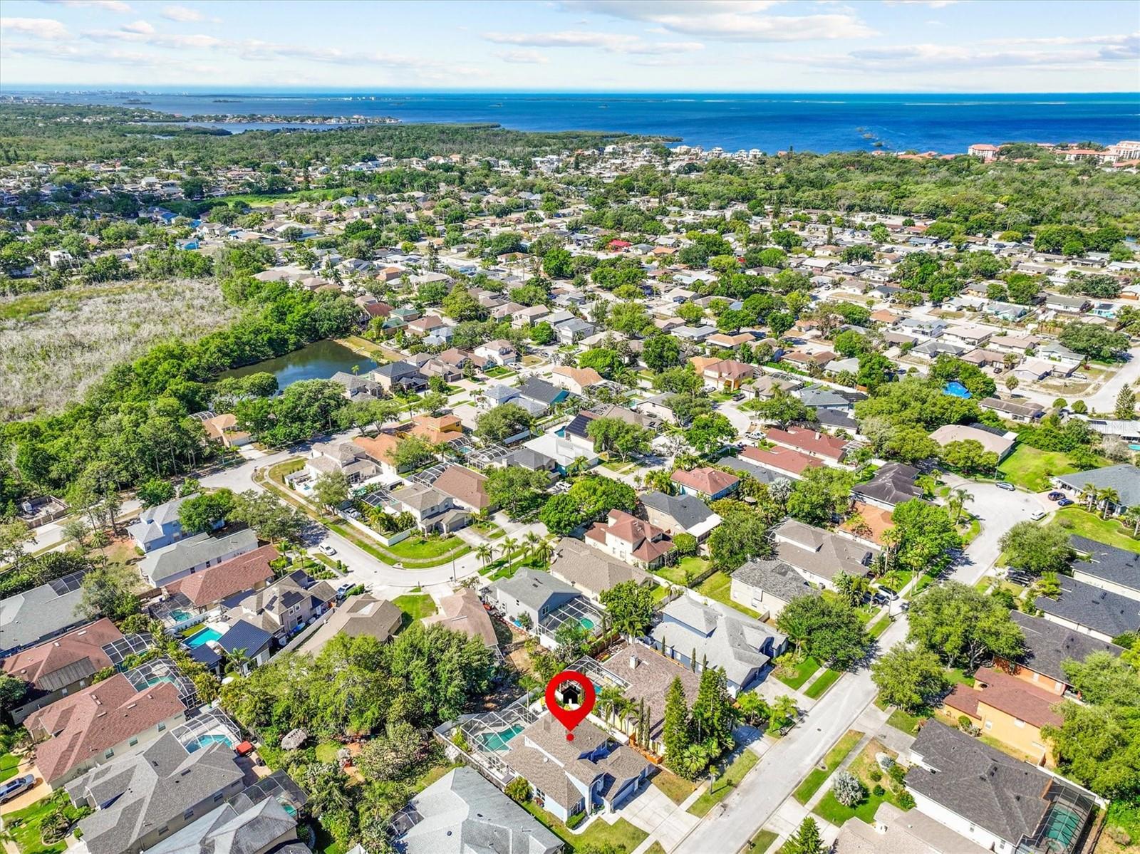 460 DENISE ST, TARPON SPRINGS, FL, 34689