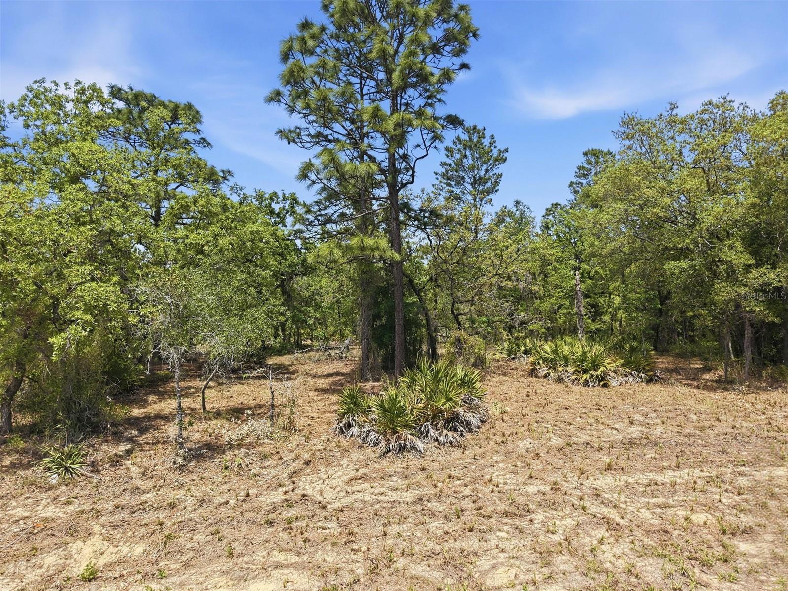 Lot 10 CAGARRO RD, WEEKI WACHEE, FL, 34614