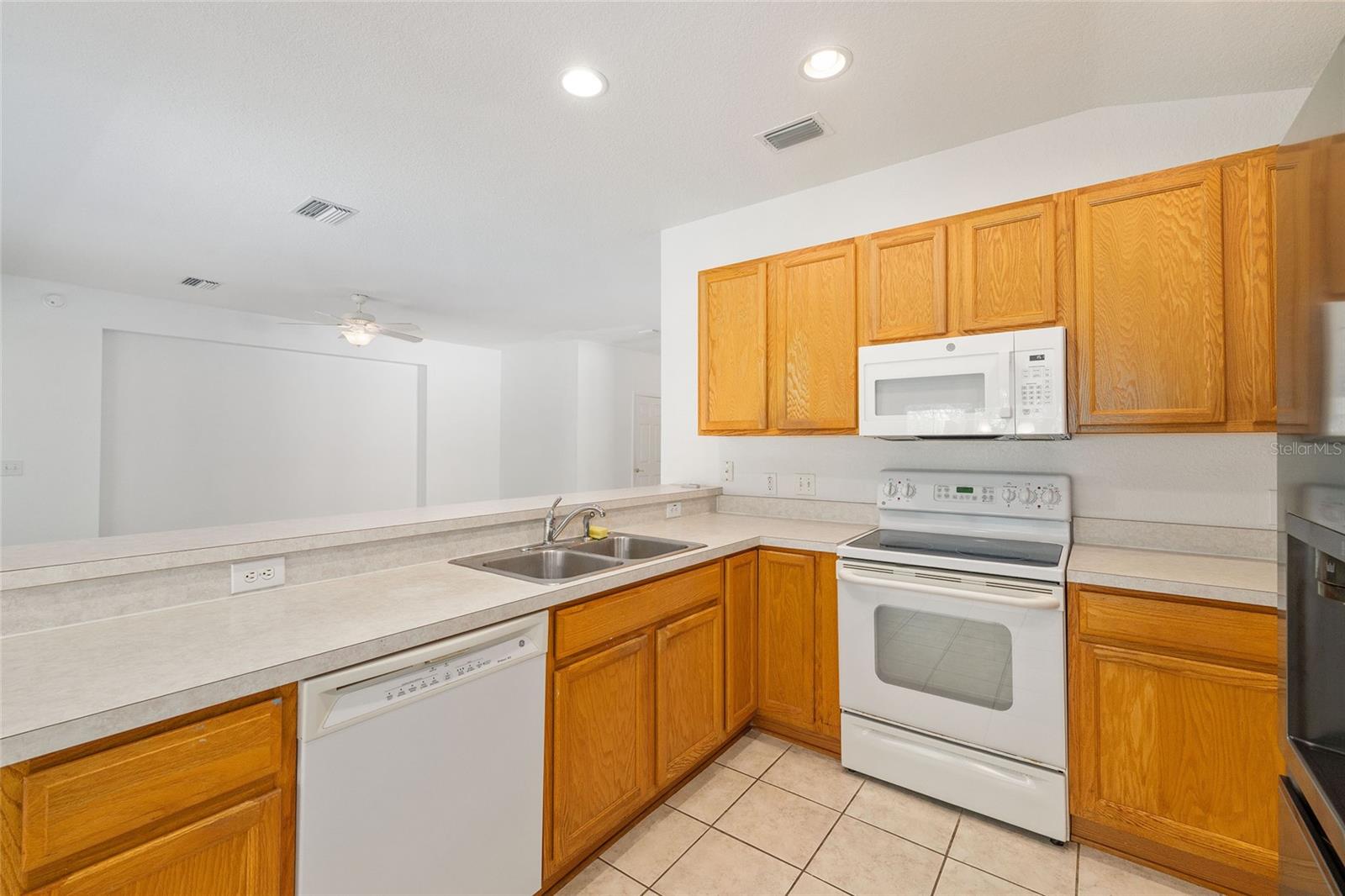 8582 SE 133RD LN, SUMMERFIELD, FL, 34491