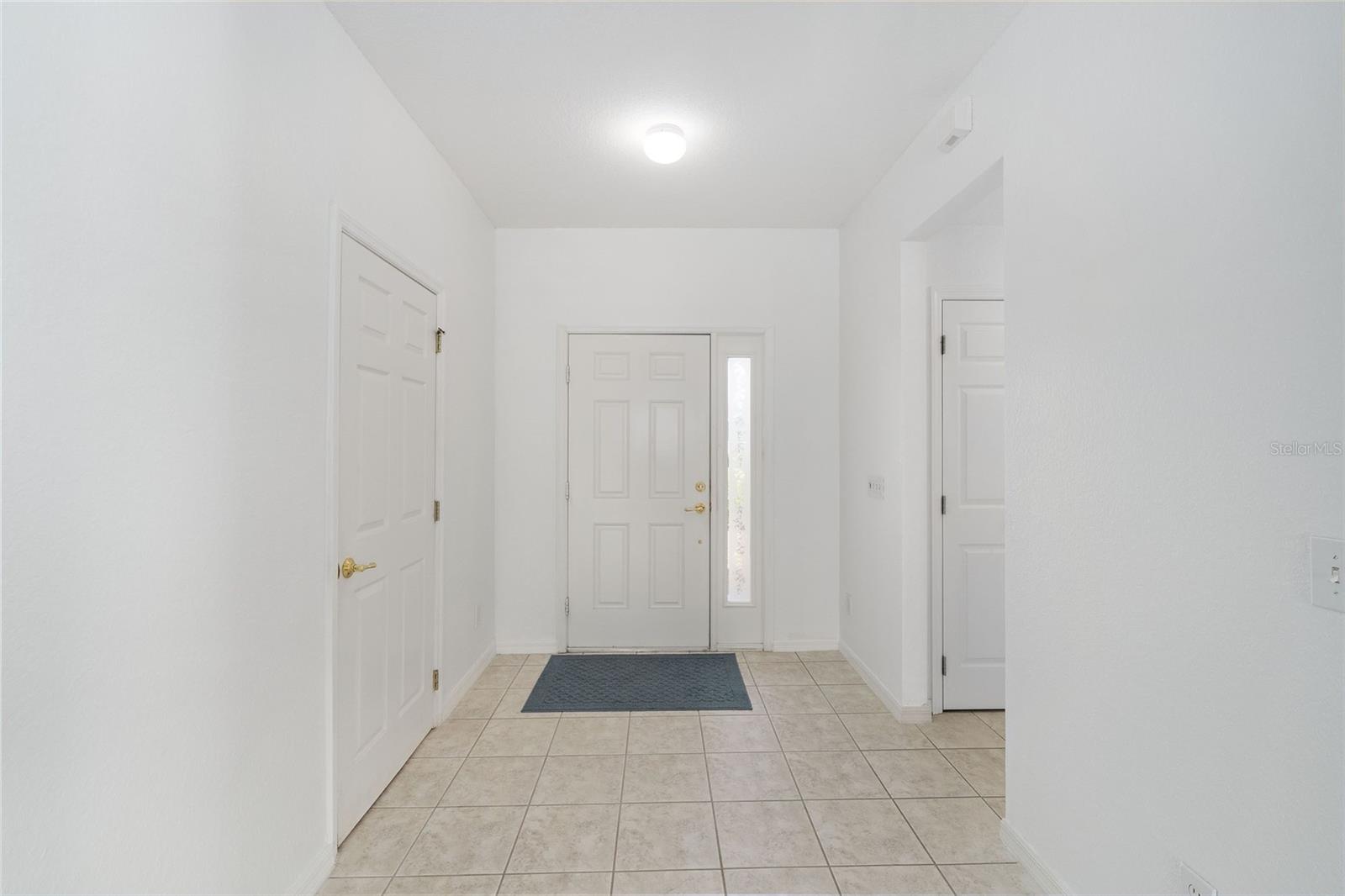 8582 SE 133RD LN, SUMMERFIELD, FL, 34491