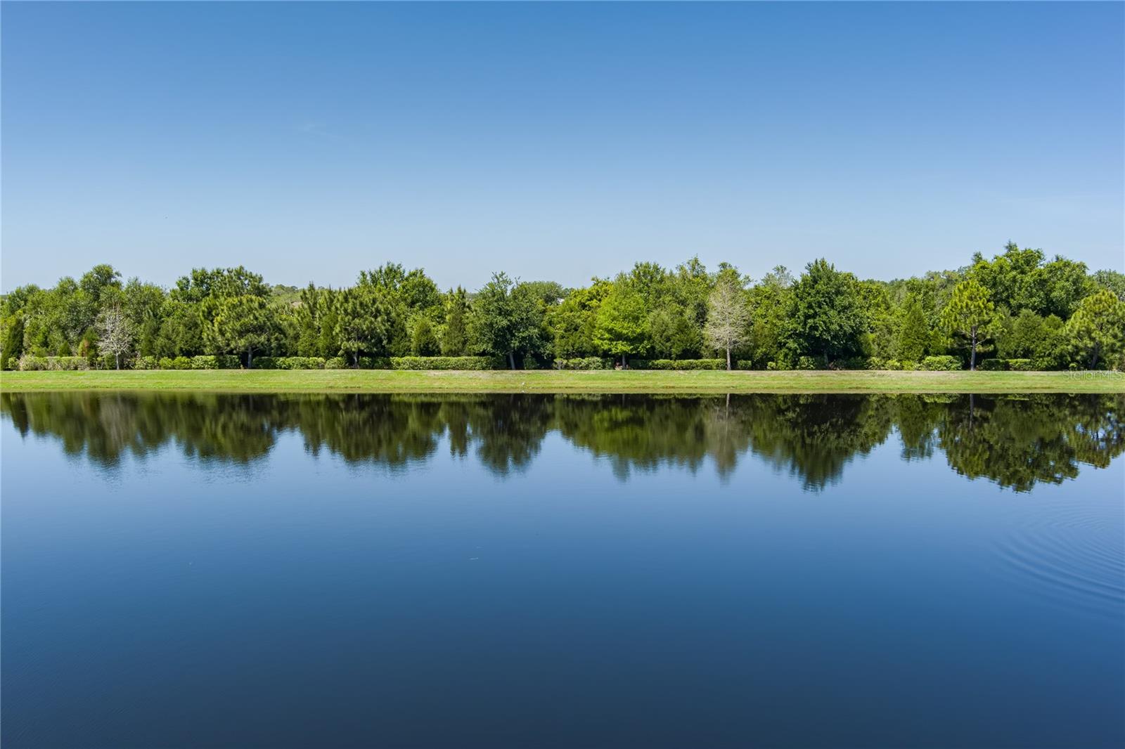 16121 61ST LN E, PARRISH, FL, 34219