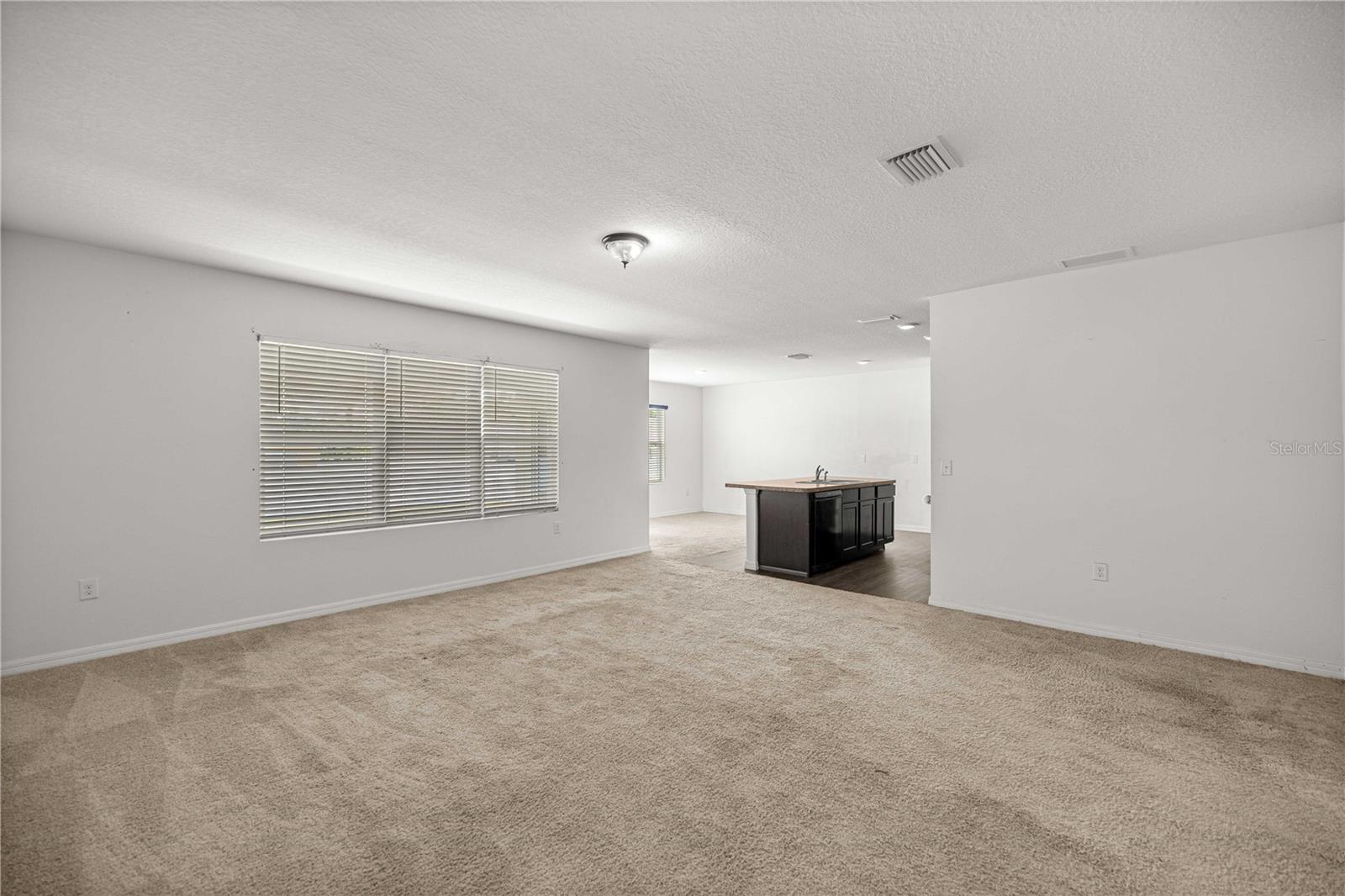 3902 SE 99TH ST, BELLEVIEW, FL, 34420