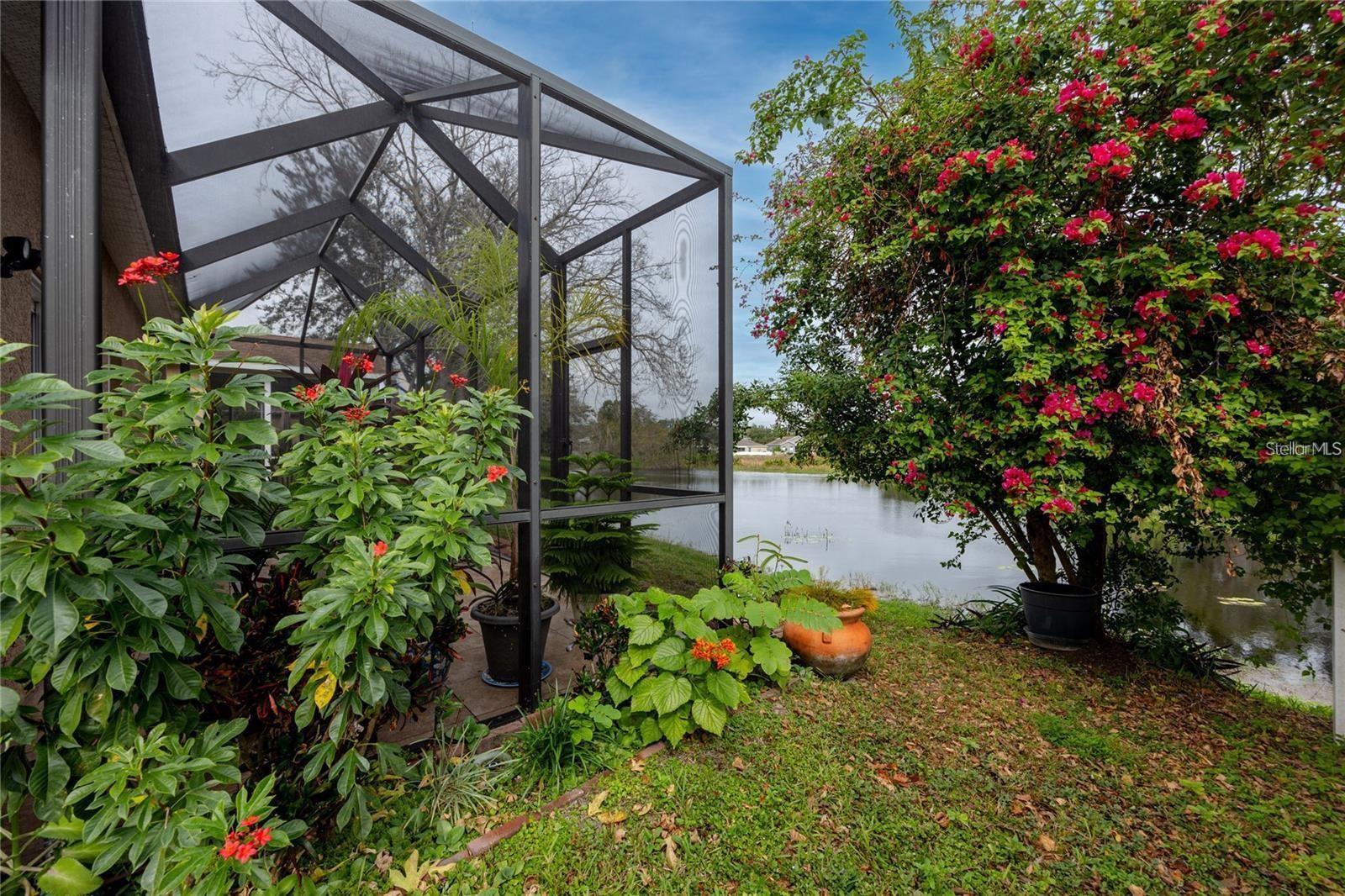 7820 HARBOR BRIDGE BLVD, NEW PORT RICHEY, FL, 34654
