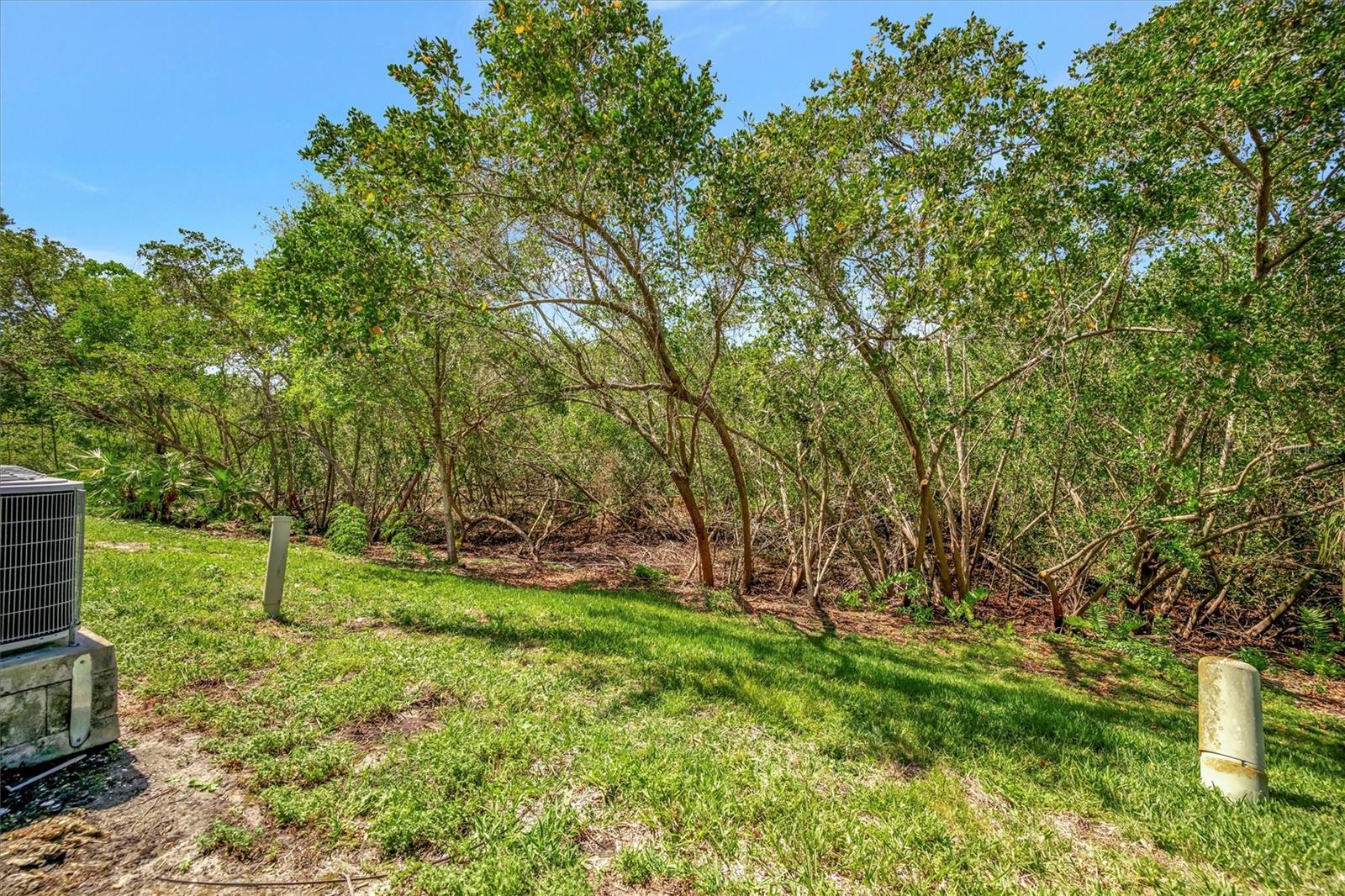 3057 BRANCH DR, CLEARWATER, FL, 33760