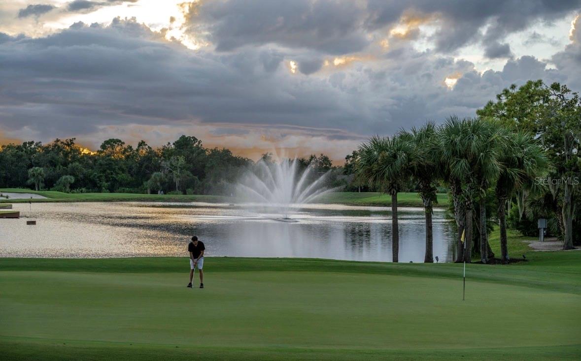 5290 HYLAND HILLS AVE #1916, SARASOTA, FL, 34241