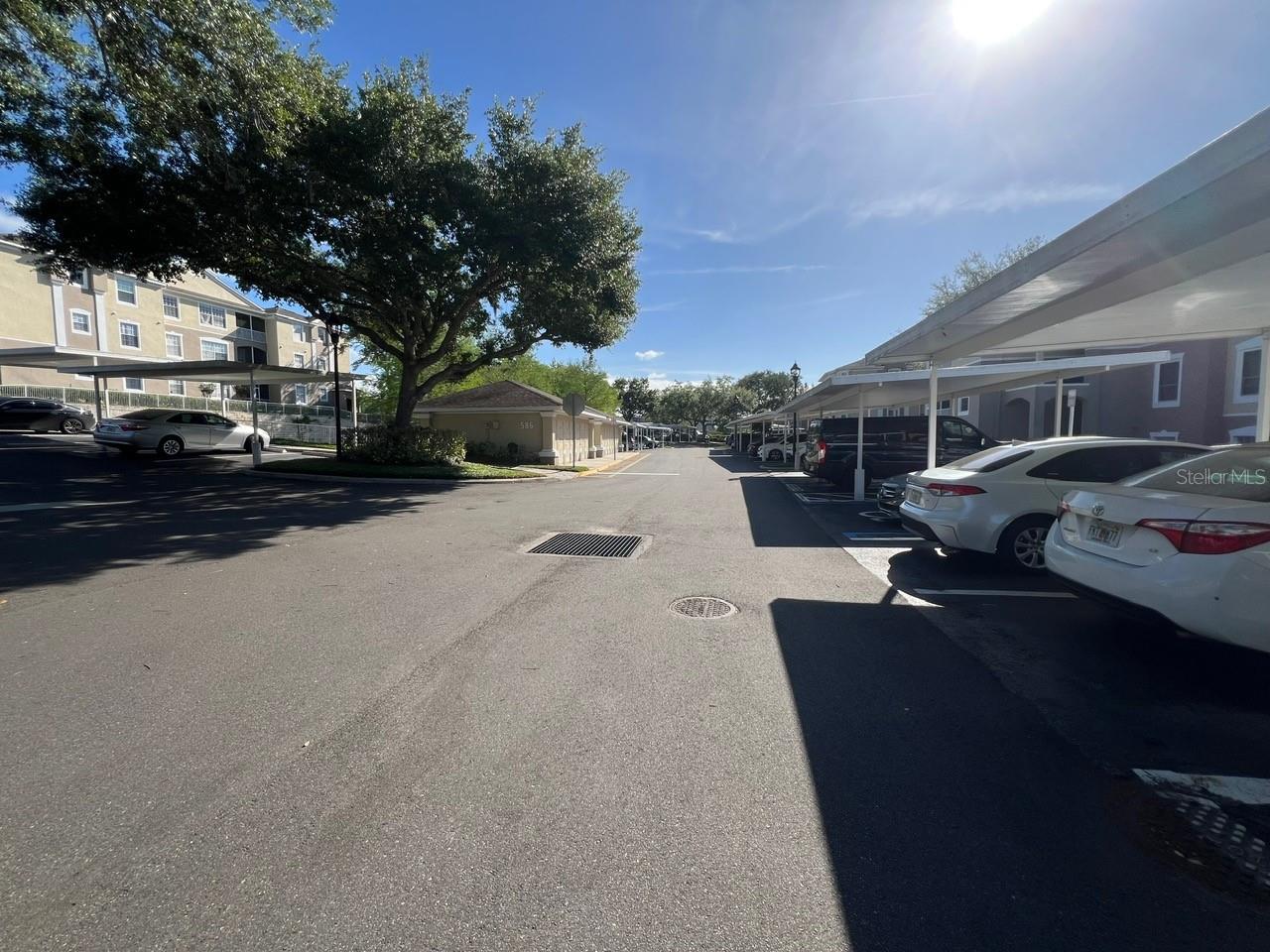 586 BRANTLEY TERRACE WAY #307, ALTAMONTE SPRINGS, FL, 32714