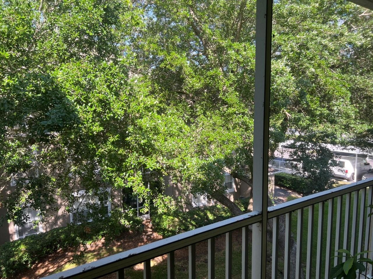 586 BRANTLEY TERRACE WAY #307, ALTAMONTE SPRINGS, FL, 32714