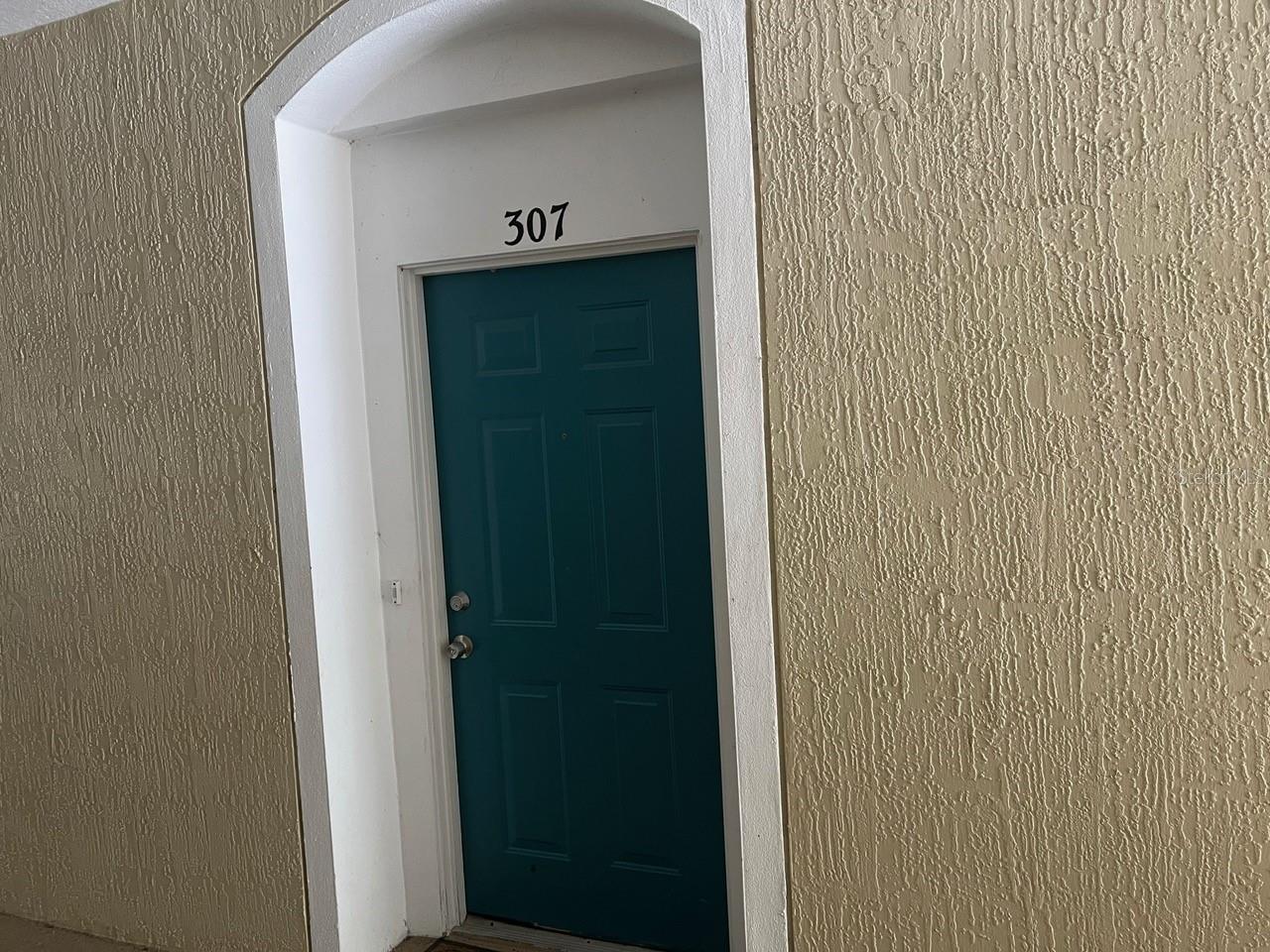 586 BRANTLEY TERRACE WAY #307, ALTAMONTE SPRINGS, FL, 32714