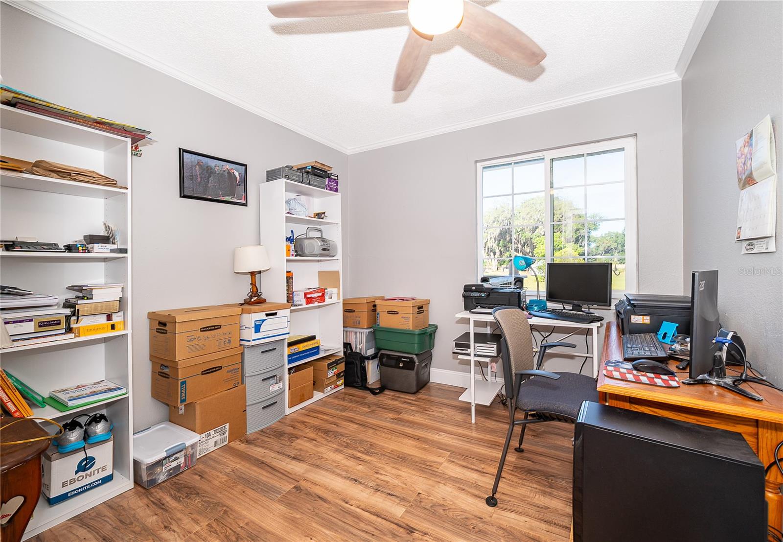 38638 MARSHALL ST, UMATILLA, FL, 32784