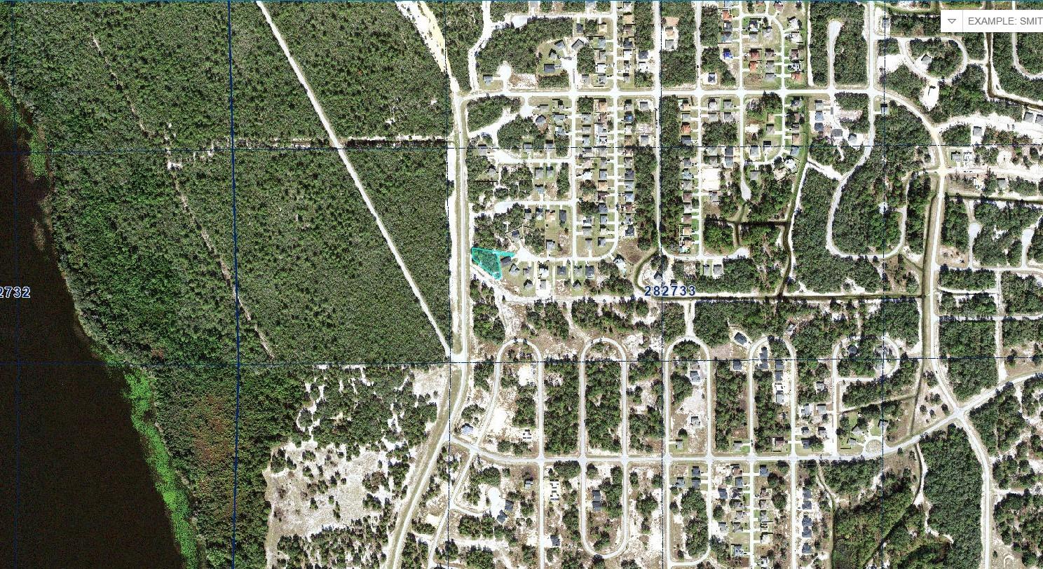 1257 AMAZON LN, KISSIMMEE, FL, 34759