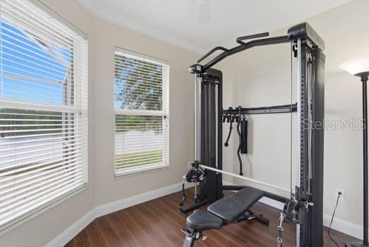 6113 COGNAC CIR, LUTZ, FL, 33558