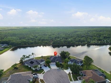 6113 COGNAC CIR, LUTZ, FL, 33558