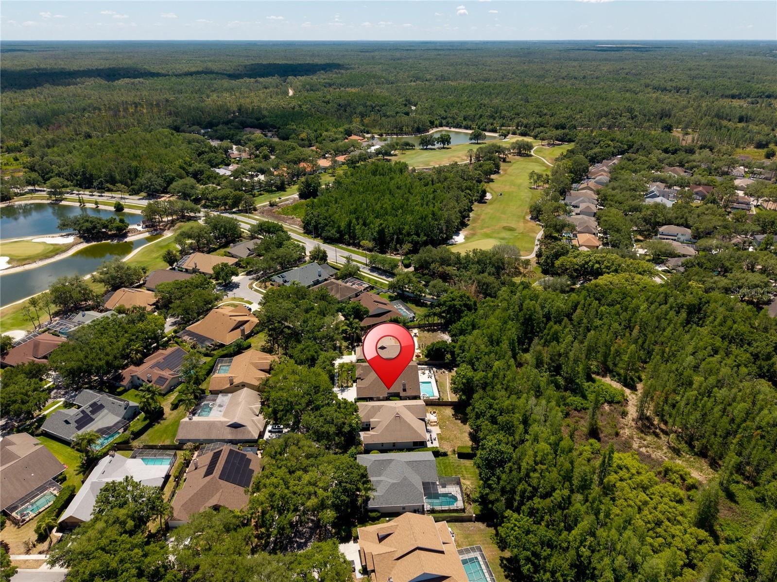 8712 TANTALLON CIR, TAMPA, FL, 33647