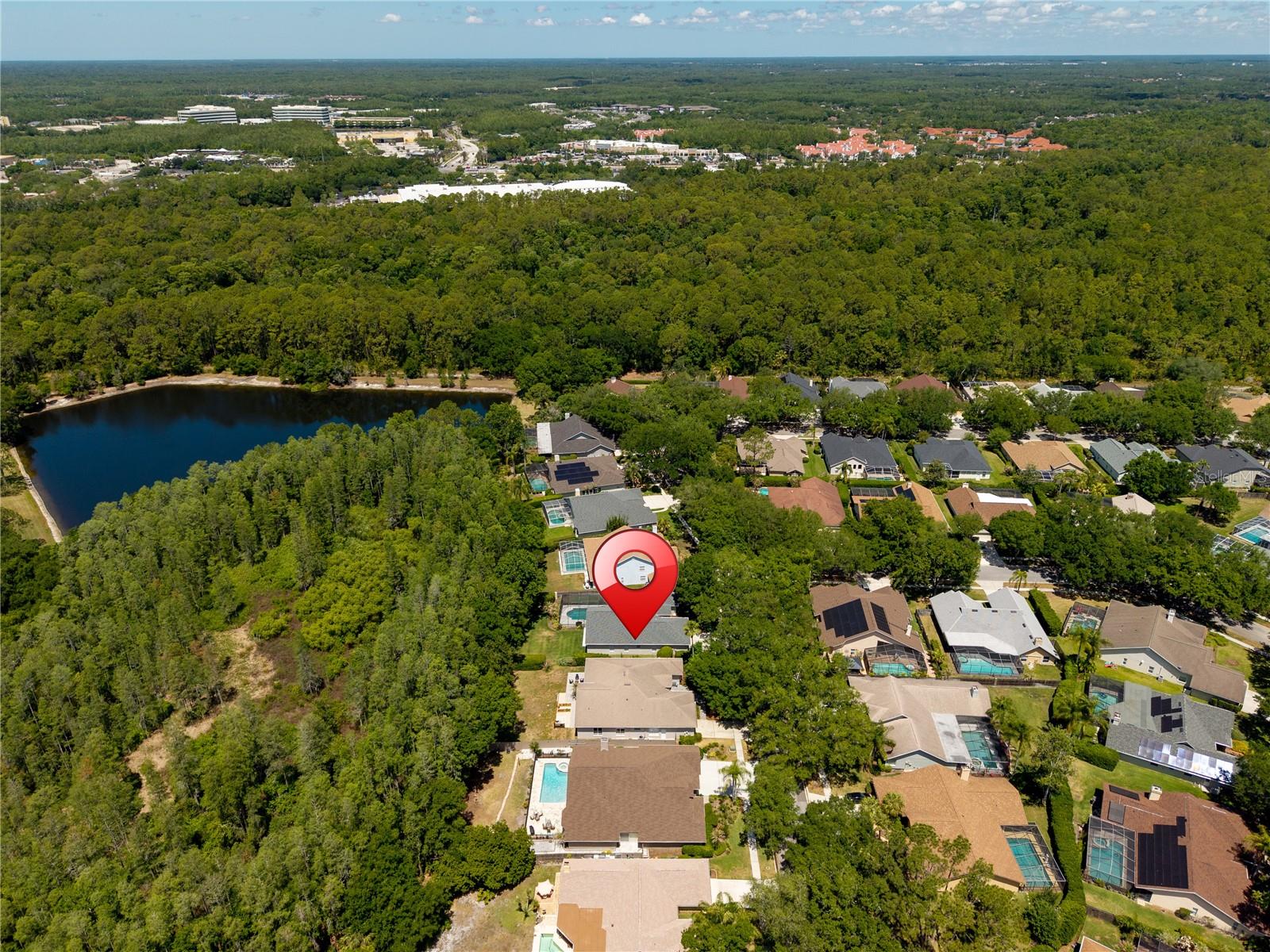 8712 TANTALLON CIR, TAMPA, FL, 33647