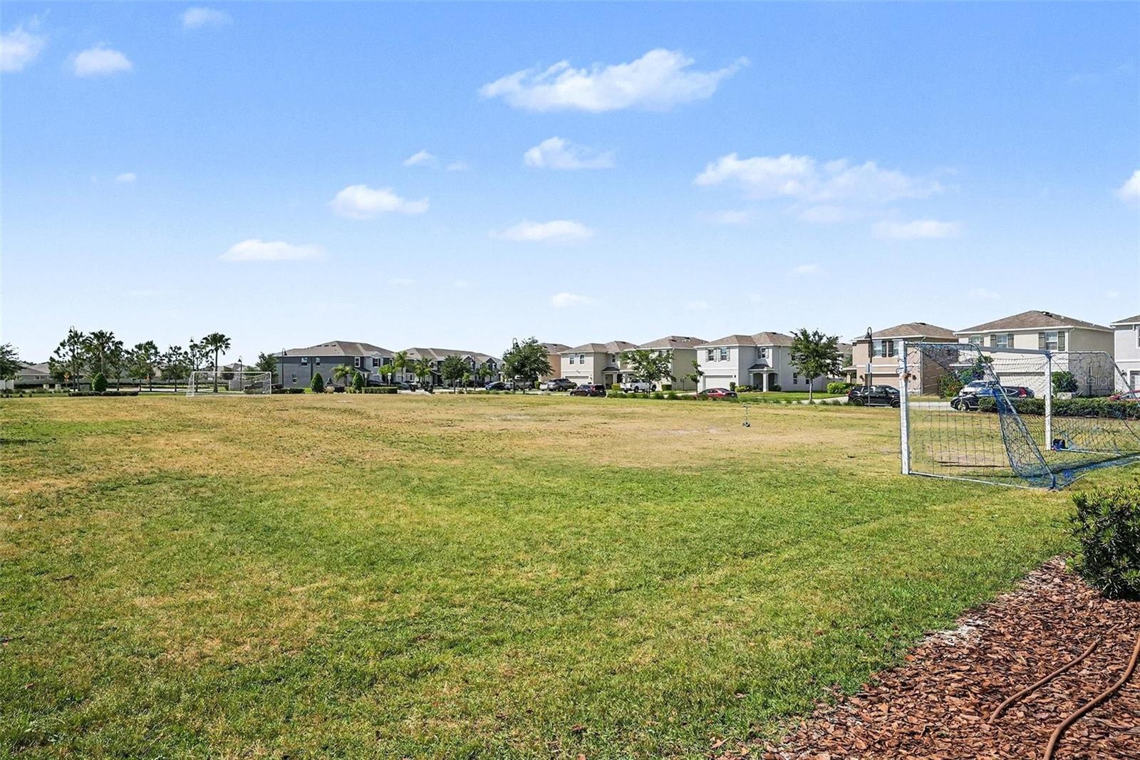 16180 GLOWING GROVE AVE, ODESSA, FL, 33556