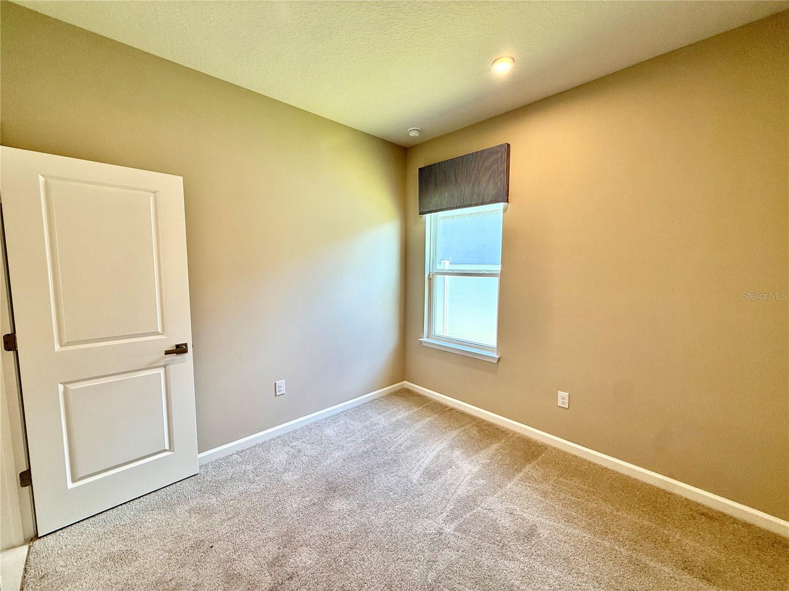 2467 WHITE LADYFISH RD, WIMAUMA, FL, 33598