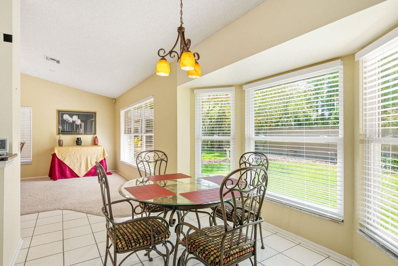 6019 COUNTRY RIDGE LN, NEW PORT RICHEY, FL, 34655