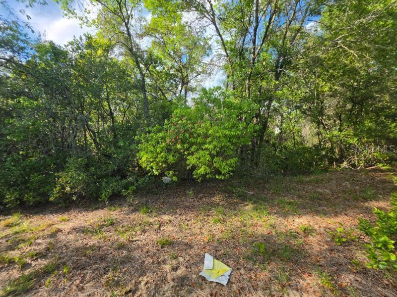 20940 SE 141ST LN, UMATILLA, FL, 32784