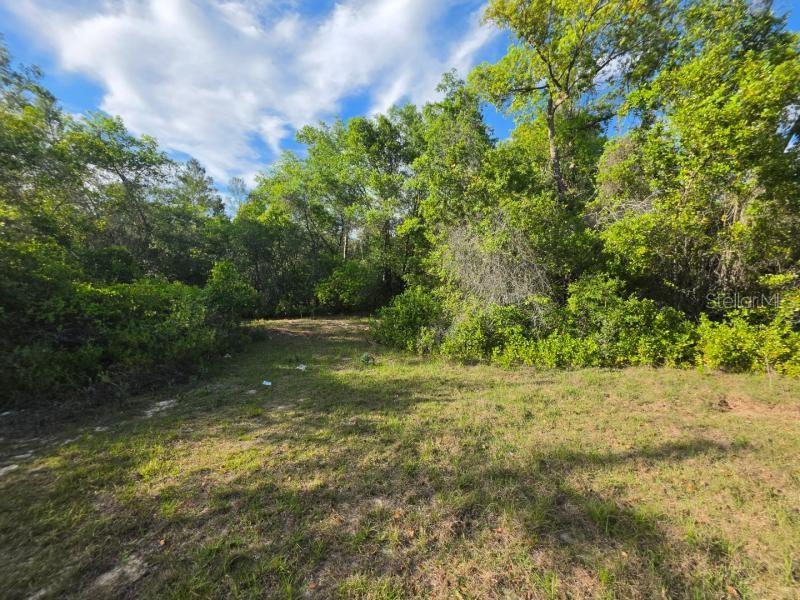 20940 SE 141ST LN, UMATILLA, FL, 32784