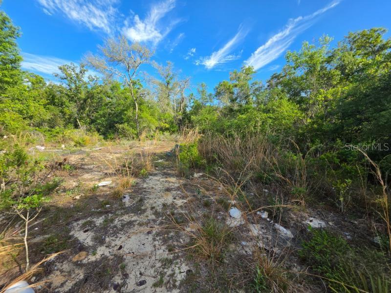 20940 SE 141ST LN, UMATILLA, FL, 32784