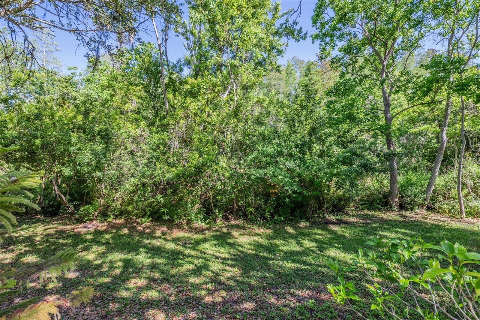 11332 CAYMAN KEY AVE, TAMPA, FL, 33624