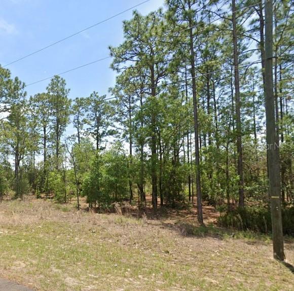 532 W GLENHAVEN DR, CITRUS SPRINGS, FL, 34434