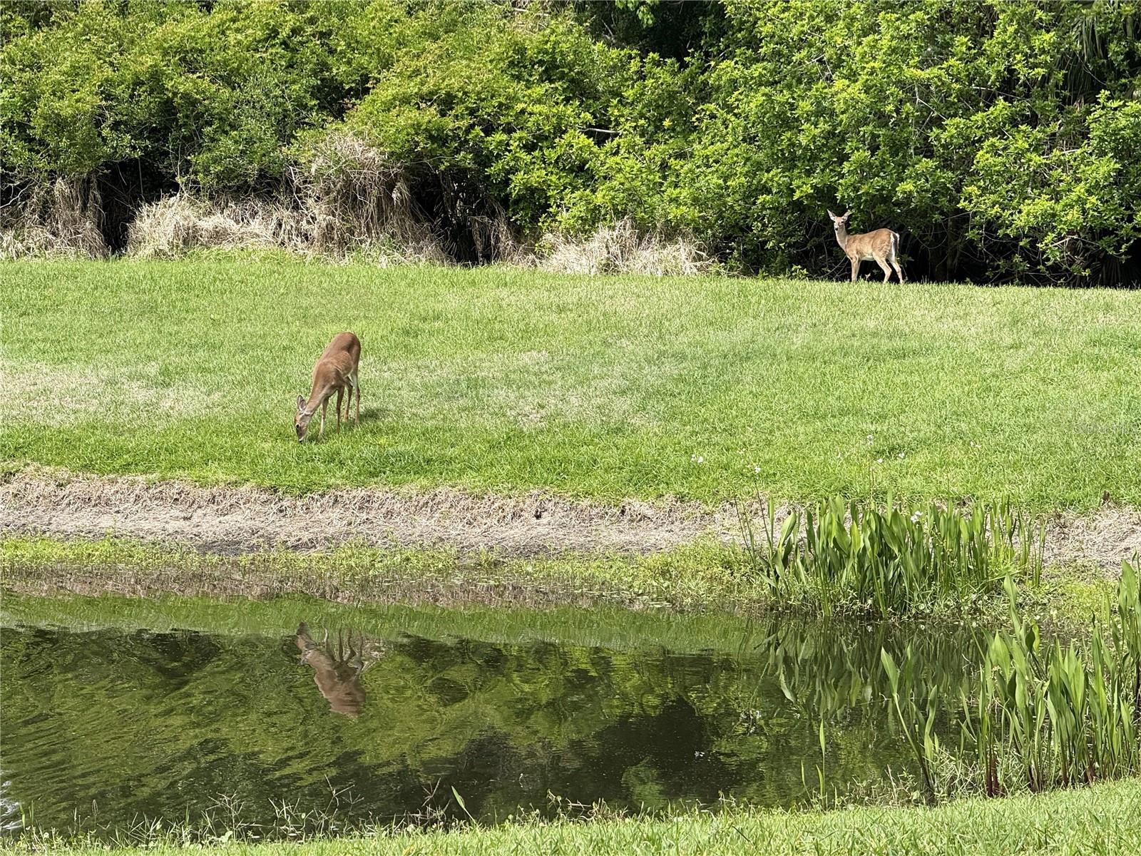 25 RIVERVIEW BND N #111, PALM COAST, FL, 32137