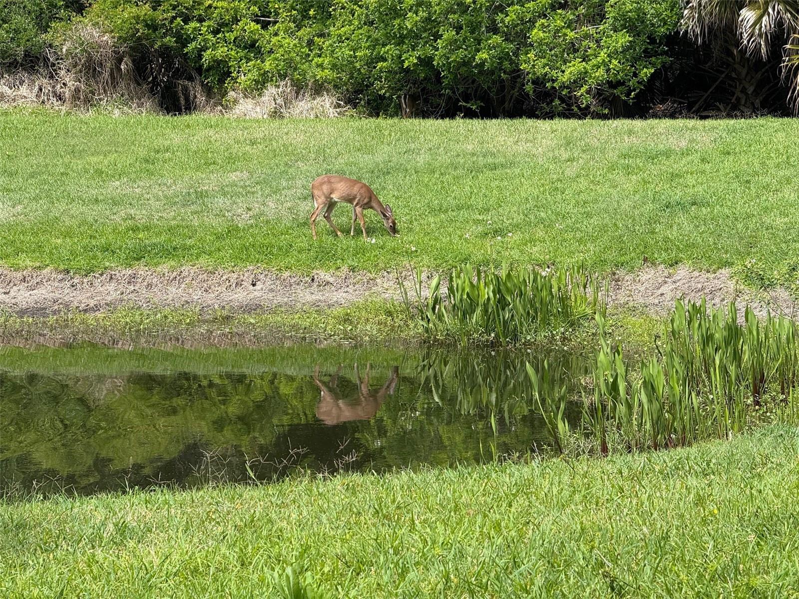 25 RIVERVIEW BND N #111, PALM COAST, FL, 32137