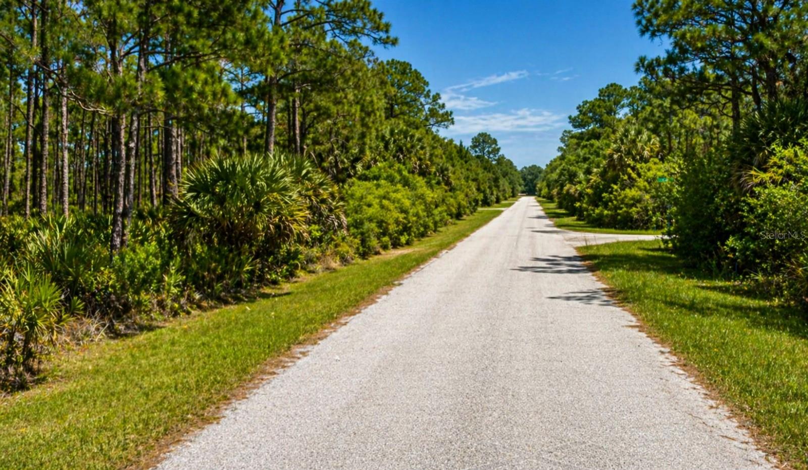 157 HAMDEN ST, PORT CHARLOTTE, FL, 33953