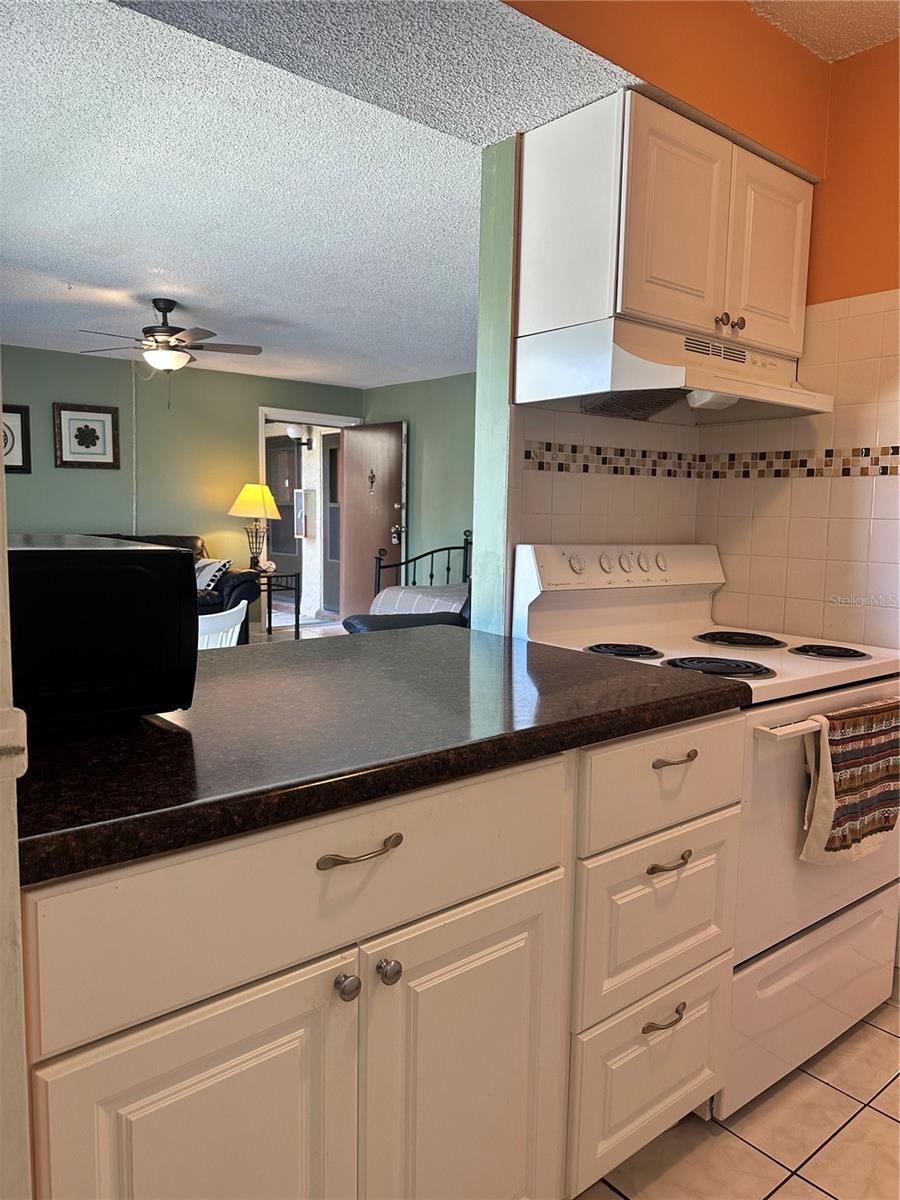 4215 E BAY DR #1702A, CLEARWATER, FL, 33764