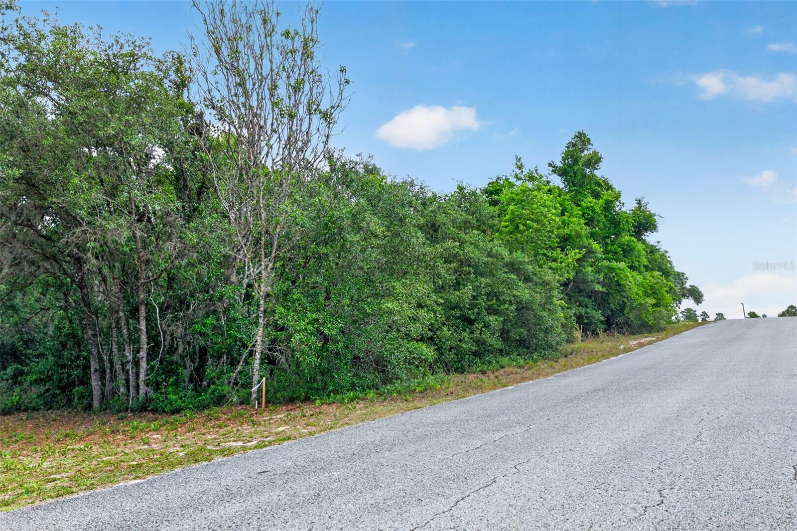 1642 S VALERIE PT, INVERNESS, FL, 34452