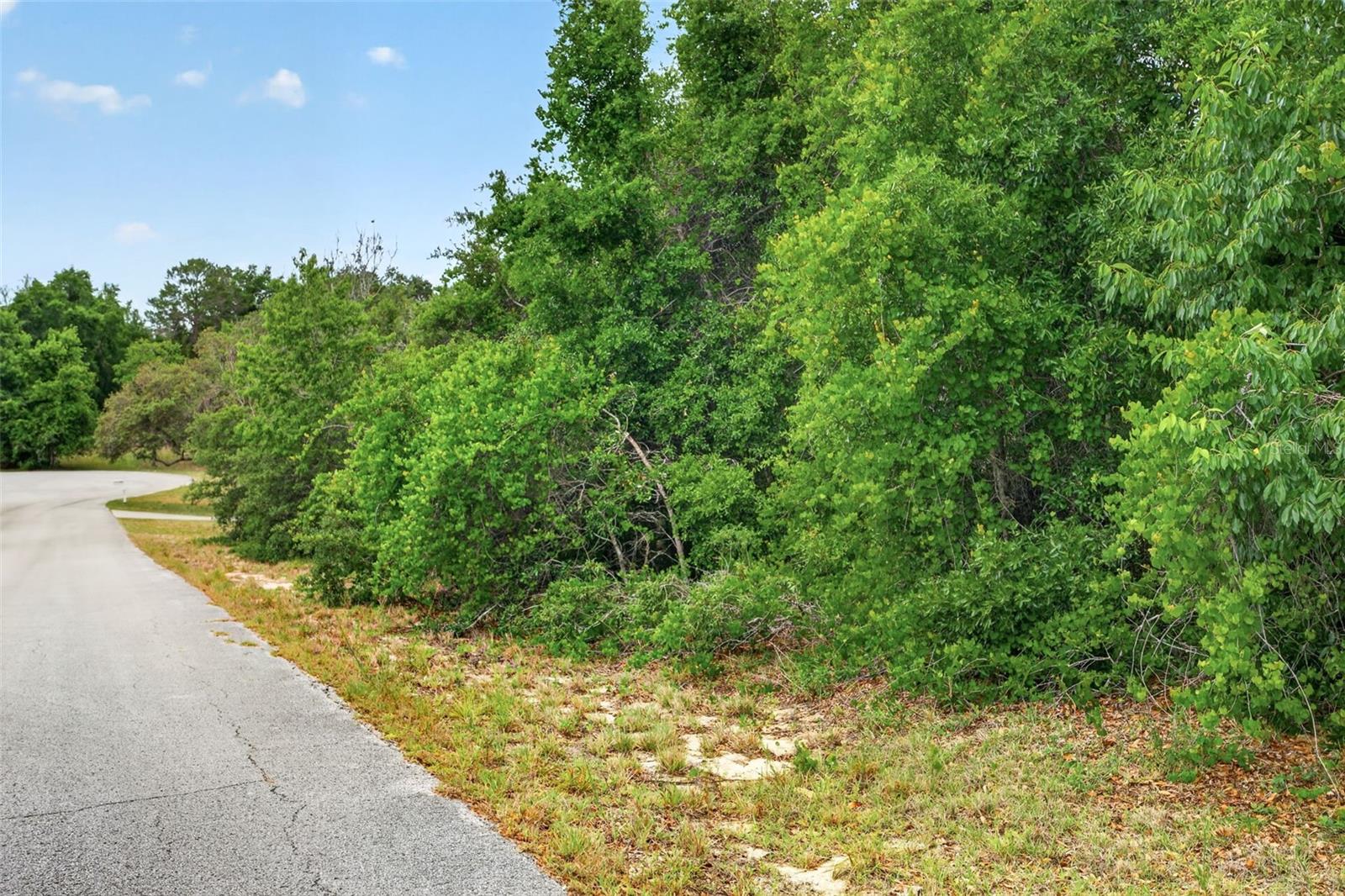 1642 S VALERIE PT, INVERNESS, FL, 34452