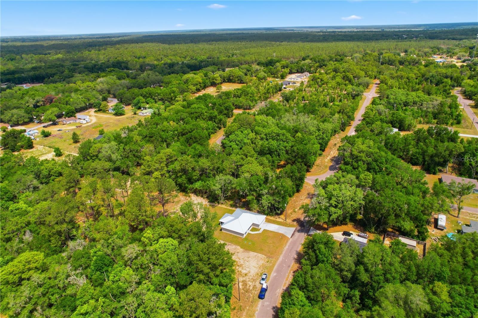 124 GUAVA TER, OCKLAWAHA, FL, 32179