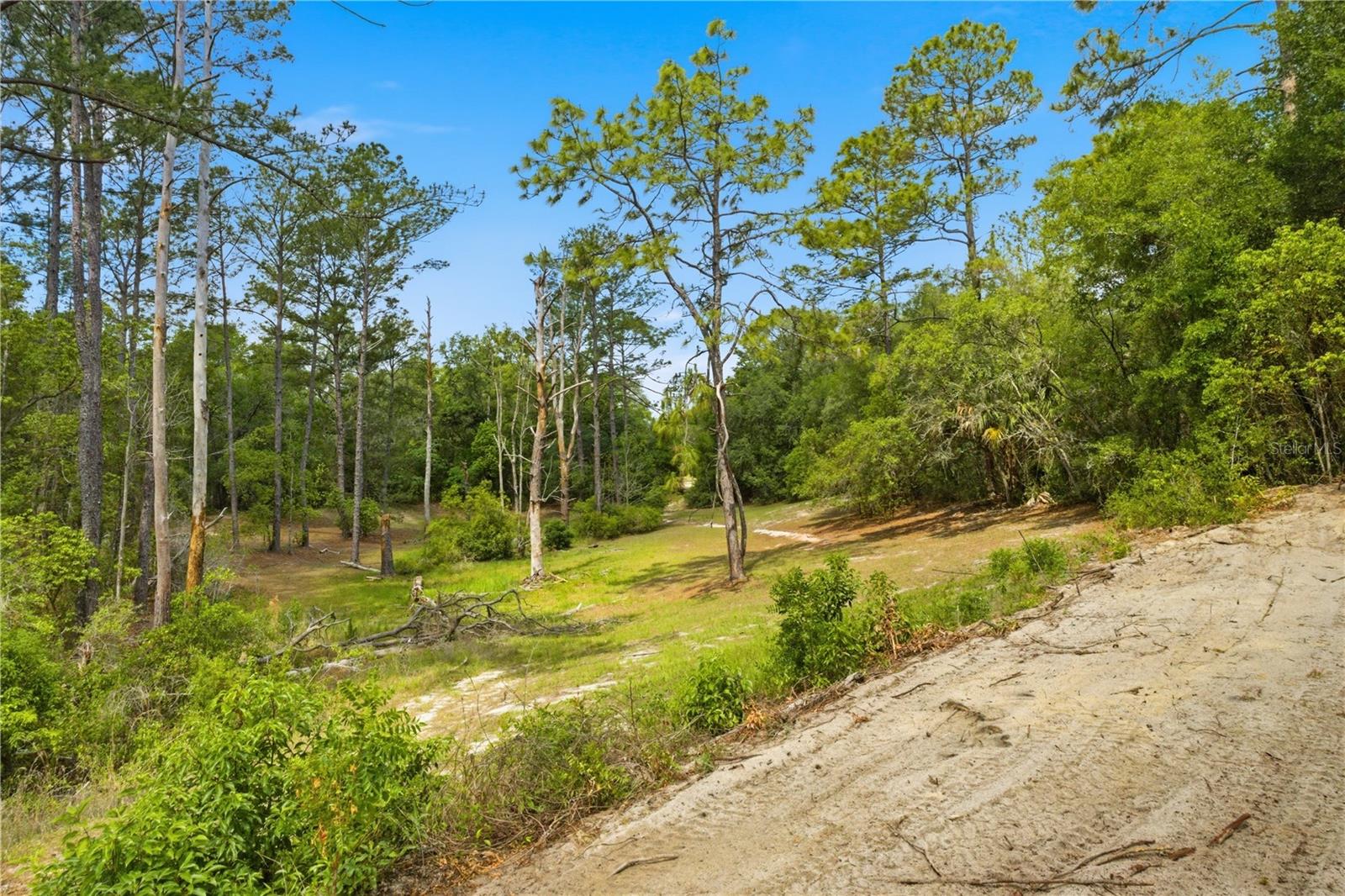 124 GUAVA TER, OCKLAWAHA, FL, 32179