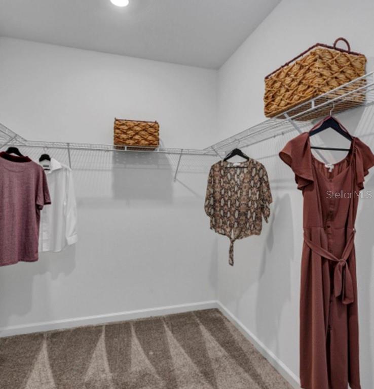 8980 SWING LN, DAVENPORT, FL, 33896