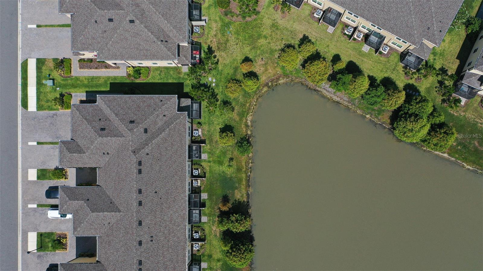 29922 SOUTHWELL LN, WESLEY CHAPEL, FL, 33543