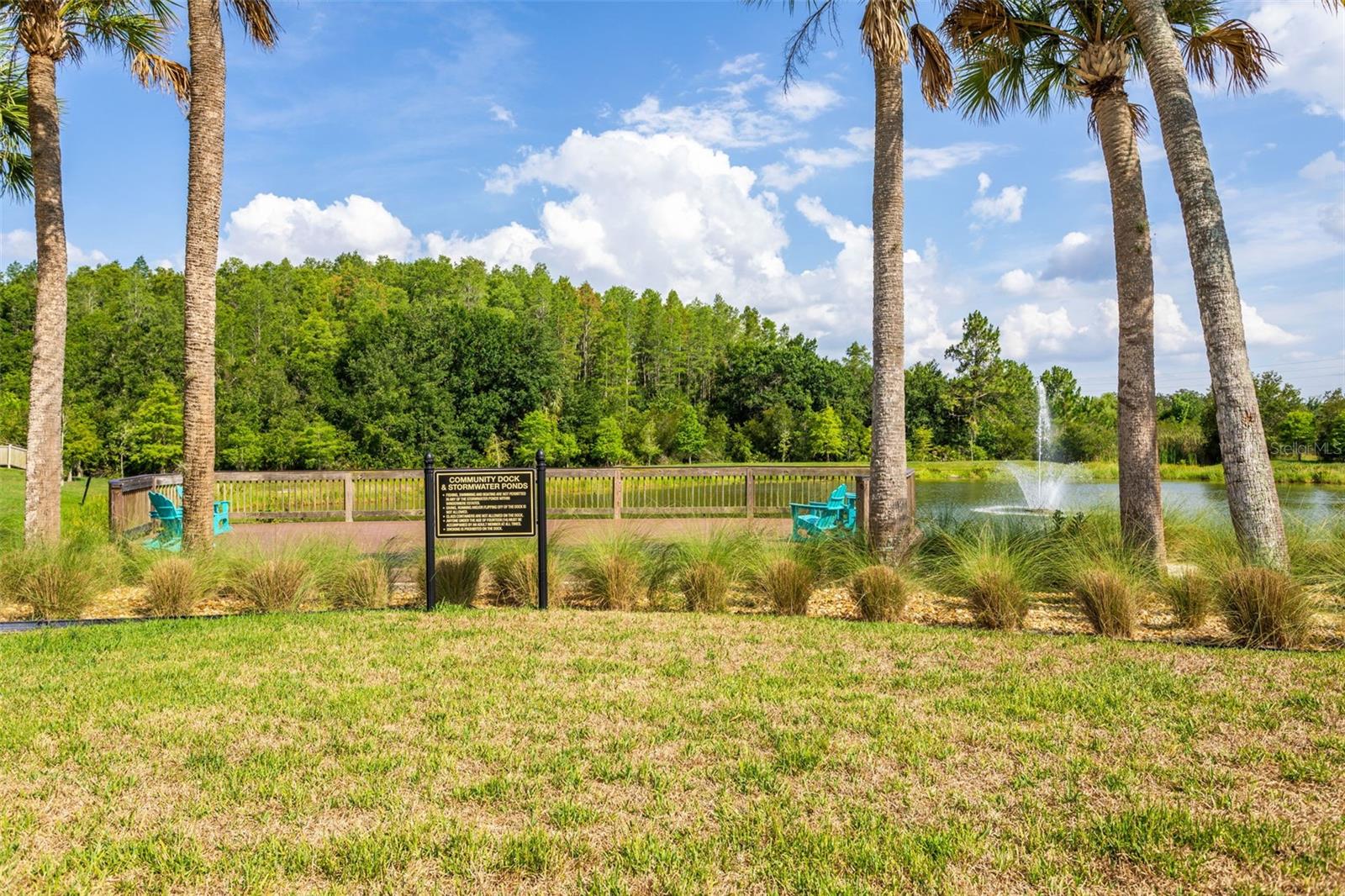 29922 SOUTHWELL LN, WESLEY CHAPEL, FL, 33543