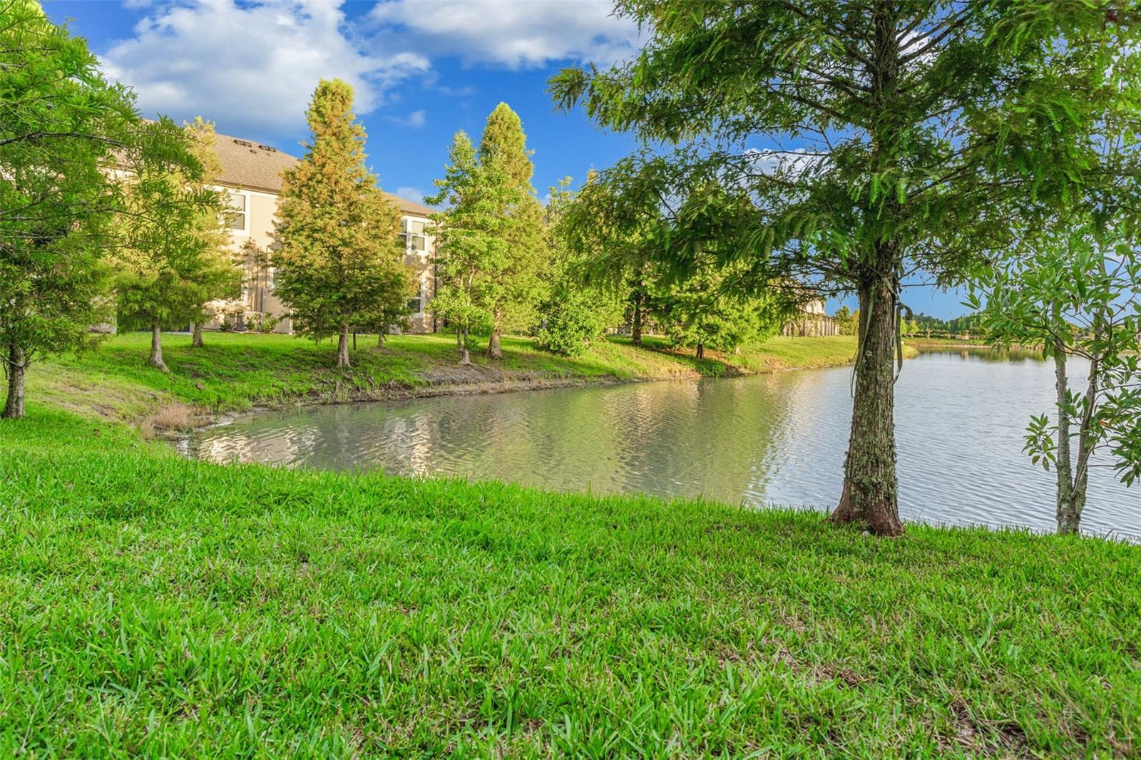 29922 SOUTHWELL LN, WESLEY CHAPEL, FL, 33543